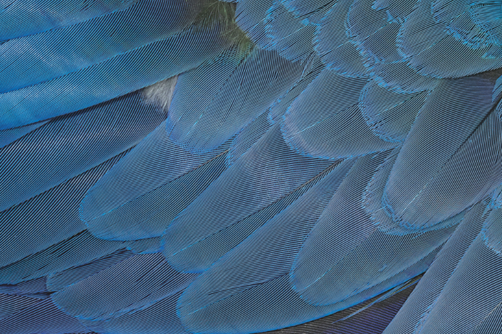 Private Banking 950x950 3